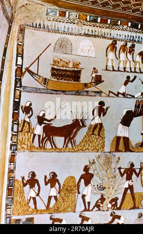 Luxor Ägypten Tal der Nobel Thebangräber 69 (TT69) Grab von Menna ein Grab von Scribe, der der Aufseher der Felder des Amun-Re Grabes war Gemälde, die die Getreideernte darstellten Stockfoto