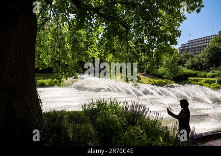 Hamburg, Deutschland. 12. Juni 2023. Bei hellem Sonnenschein fotografiert eine Frau Blumen in den Stadtmauern Hamburgs. Das Wetter in Norddeutschland wird in den kommenden Tagen voraussichtlich sommerlich bleiben. Kredit: Ulrich Perrey/dpa/Alamy Live News Stockfoto