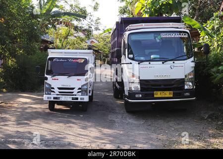 10. Juni 2023, Kulonprogo, Yogyakarta, Indonesien: Ein Mini-Lkw fährt am 12. Juni 2023 vor einem echten Lkw im Dorf eines Einwohners in Kulonprogo, Yogyakarta. Der Lkw verwendet einen modifizierten Motorradmotor. Der Spielzeugwagen ist so konstruiert, dass er im Allgemeinen einem Lkw ähnelt, hat jedoch wesentlich kleinere Abmessungen mit Vorwärts-, Rückwärts- und Hubfunktionen hinter dem Bett. Ein junger Mann namens Imam, Eigentümer von Rimbono Garage, sagte, dass der Zweck der Herstellung des Mini-Lkws anfangs nur darin bestand, Fananfragen in sozialen Medien zu erfüllen. Denn vor der Herstellung von Spielzeugautos war die Karosserie des Lkws rein handgefertigt Stockfoto