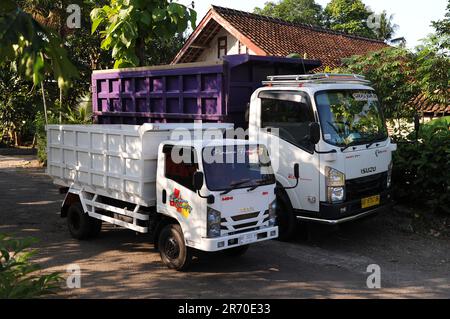 10. Juni 2023, Kulonprogo, Yogyakarta, Indonesien: Ein Mini-Lkw fährt am 12. Juni 2023 vor einem echten Lkw im Dorf eines Einwohners in Kulonprogo, Yogyakarta. Der Lkw verwendet einen modifizierten Motorradmotor. Der Spielzeugwagen ist so konstruiert, dass er im Allgemeinen einem Lkw ähnelt, hat jedoch wesentlich kleinere Abmessungen mit Vorwärts-, Rückwärts- und Hubfunktionen hinter dem Bett. Ein junger Mann namens Imam, Eigentümer von Rimbono Garage, sagte, dass der Zweck der Herstellung des Mini-Lkws anfangs nur darin bestand, Fananfragen in sozialen Medien zu erfüllen. Denn vor der Herstellung von Spielzeugautos war die Karosserie des Lkws rein handgefertigt Stockfoto