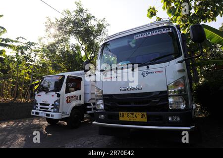 10. Juni 2023, Kulonprogo, Yogyakarta, Indonesien: Ein Mini-Lkw fährt am 12. Juni 2023 vor einem echten Lkw im Dorf eines Einwohners in Kulonprogo, Yogyakarta. Der Lkw verwendet einen modifizierten Motorradmotor. Der Spielzeugwagen ist so konstruiert, dass er im Allgemeinen einem Lkw ähnelt, hat jedoch wesentlich kleinere Abmessungen mit Vorwärts-, Rückwärts- und Hubfunktionen hinter dem Bett. Ein junger Mann namens Imam, Eigentümer von Rimbono Garage, sagte, dass der Zweck der Herstellung des Mini-Lkws anfangs nur darin bestand, Fananfragen in sozialen Medien zu erfüllen. Denn vor der Herstellung von Spielzeugautos war die Karosserie des Lkws rein handgefertigt Stockfoto