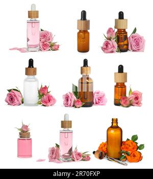 Ätherische Rosenöle in verschiedenen Flaschen und Blumen auf weißem Hintergrund, Collage Stockfoto