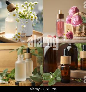 Verschiedene ätherische Öle in Glasflaschen, Collage-Design Stockfoto