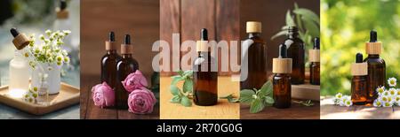 Verschiedene ätherische Öle in Glasflaschen, Collage-Design Stockfoto