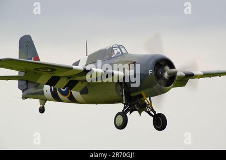 Grumman Martlet, G-RUMY, JV579, Duxford, Cambridgeshire, England, Vereinigtes Königreich. Stockfoto