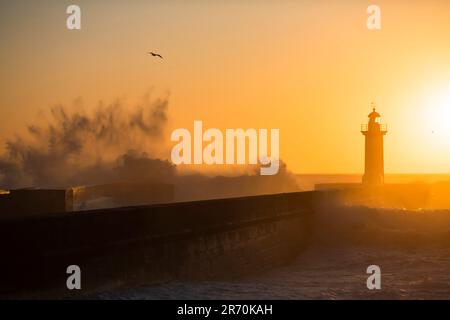 Eine riesige Welle am Leuchtturm von Felgueiras in Porto während eines goldenen Sonnenuntergangs in Portugal. Stockfoto