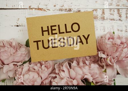 „Hello Tuesday“-Textnachricht mit Blumendekoration auf Holzhintergrund Stockfoto