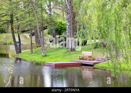 Holzbank am Ufer eines Waldteichs in der Nähe des Piers. Stockfoto