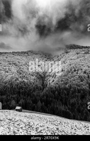 Eine schwarz-weiße Winterlandschaft mit schneebedeckten Bäumen und einem See bei düsterem Wetter Stockfoto