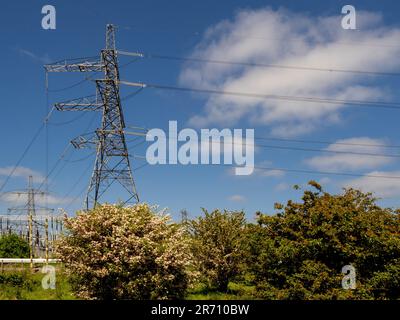 Pylonen an der National Grid Salthome Substation vor blauem Himmel gesehen. Stockfoto