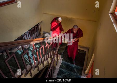 Monstero di kopan. nepal Stockfoto