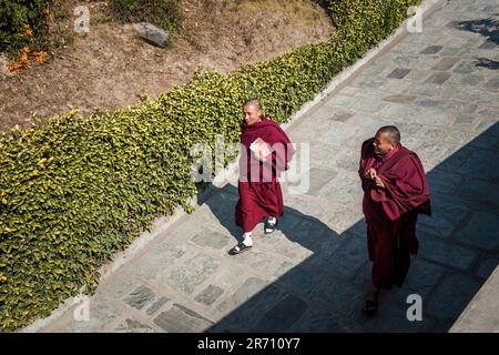 Monstero di kopan. nepal Stockfoto