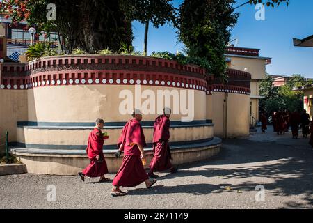 Monstero di kopan. nepal Stockfoto