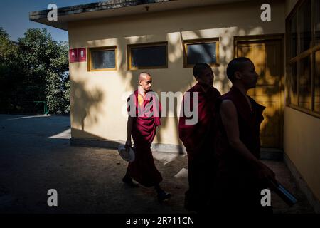 Monstero di kopan. nepal Stockfoto