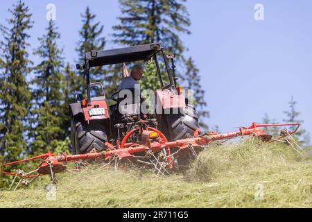 12. Juni 2023, Baden-Württemberg, Schönwald im Schwarzwald: Ein Landwirt fährt einen Traktor über eine zuvor gemähte Wiese und wendet das Gras, um Heu zu erzeugen. Das anhaltend warme und trockene Wetter bietet gute Bedingungen für die Heuernte, selbst in einer Höhe von ca. 1000 Metern. Foto: Philipp von Ditfurth/dpa Stockfoto