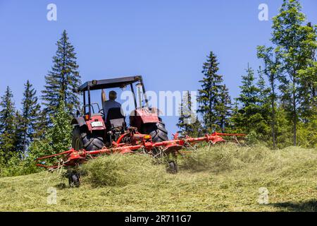 12. Juni 2023, Baden-Württemberg, Schönwald im Schwarzwald: Ein Landwirt fährt einen Traktor über eine zuvor gemähte Wiese und wendet das Gras, um Heu zu erzeugen. Das anhaltend warme und trockene Wetter bietet gute Bedingungen für die Heuernte, selbst in einer Höhe von ca. 1000 Metern. Foto: Philipp von Ditfurth/dpa Stockfoto