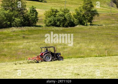 12. Juni 2023, Baden-Württemberg, Schönwald im Schwarzwald: Ein Landwirt fährt einen Traktor über eine zuvor gemähte Wiese und wendet das Gras, um Heu zu erzeugen. Das anhaltend warme und trockene Wetter bietet gute Bedingungen für die Heuernte, selbst in einer Höhe von ca. 1000 Metern. Foto: Philipp von Ditfurth/dpa Stockfoto