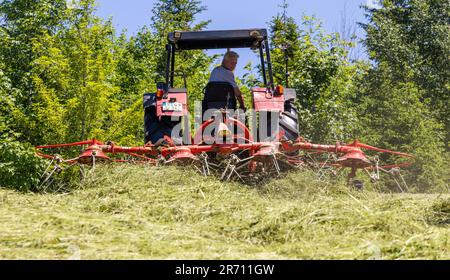 12. Juni 2023, Baden-Württemberg, Schönwald im Schwarzwald: Ein Landwirt fährt einen Traktor über eine zuvor gemähte Wiese und wendet das Gras, um Heu zu erzeugen. Das anhaltend warme und trockene Wetter bietet gute Bedingungen für die Heuernte, selbst in einer Höhe von ca. 1000 Metern. Foto: Philipp von Ditfurth/dpa Stockfoto