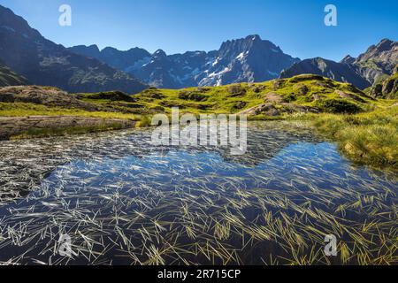 Lauzon Lake im Ecrins National Park im Sommer mit Blick auf den Gipfel des Sirac. Valgaudemar Valley (Alpen). Gioberney. Hautes-Alpes, Frankreich Stockfoto
