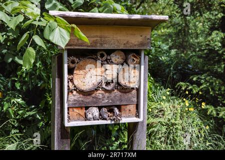 Holzinsektenhotel in der Natur, Unterschlupf für wilde Insekten im sonnigen grünen Sommergarten. Stockfoto