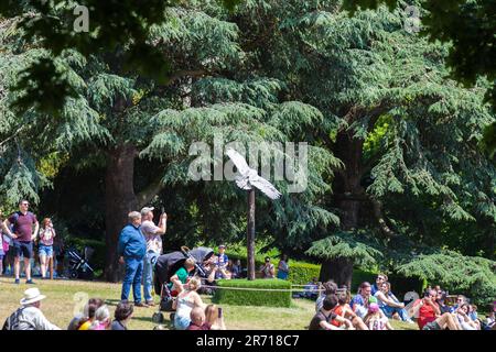 Falknerei auf Warwick Castle Grounds in Warwickshire, England, Großbritannien, einschließlich Seeadler, Andenkondore und Eulen Stockfoto