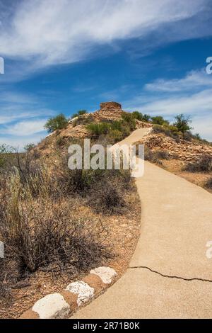 Ein Bild von einem Weg in der Wüste, der durch goldenen Sand zu einem kleinen Hügel führt, mit einer Streuung von Büschen und Büschen in der Umgebung Stockfoto