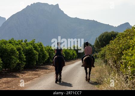 Zwei Reiter in einer spanischen Landschaft entlang eines Weinbergs mit Bergen im Hintergrund Stockfoto