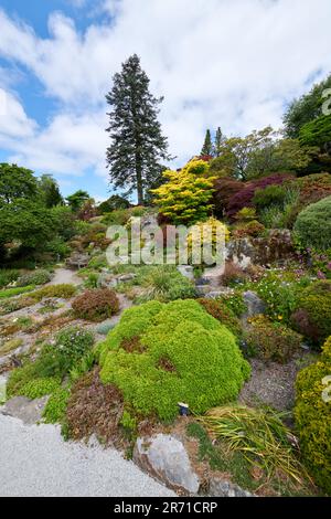 Holehird Gardens ist eine umfangreiche, 10 Hektar großen Gelände in der Nähe von Windermere, Cumbria, England. Es ist die Heimat der Lakeland Gartenbaugesellschaft Stockfoto