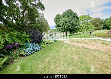 Holehird Gardens ist eine umfangreiche, 10 Hektar großen Gelände in der Nähe von Windermere, Cumbria, England. Es ist die Heimat der Lakeland Gartenbaugesellschaft Stockfoto
