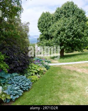 Holehird Gardens ist eine umfangreiche, 10 Hektar großen Gelände in der Nähe von Windermere, Cumbria, England. Es ist die Heimat der Lakeland Gartenbaugesellschaft Stockfoto
