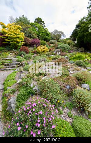 Holehird Gardens ist eine umfangreiche, 10 Hektar großen Gelände in der Nähe von Windermere, Cumbria, England. Es ist die Heimat der Lakeland Gartenbaugesellschaft Stockfoto