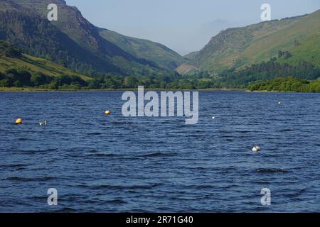 Tal-y-llyn See / Llyn Mwyngil von Tal-y-llyn, Gwynedd, Wales, am Rand des Eryri Nationalparks (Snowdonia Nationalpark) Stockfoto