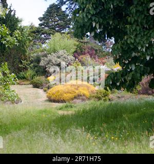 Holehird Gardens ist eine umfangreiche, 10 Hektar großen Gelände in der Nähe von Windermere, Cumbria, England. Es ist die Heimat der Lakeland Gartenbaugesellschaft Stockfoto