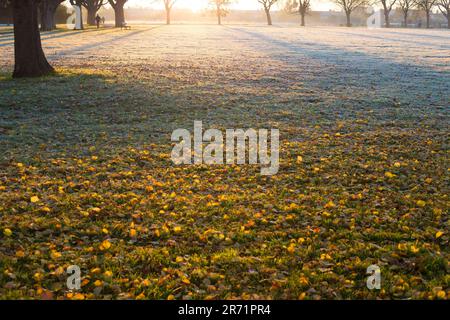 In Ilford im Osten Londons ist morgens ein Park mit Herbstfarbe teilweise frostig zu sehen. Stockfoto