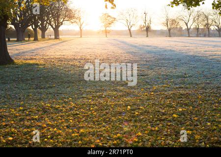 In Ilford im Osten Londons ist morgens ein Park mit Herbstfarbe teilweise frostig zu sehen. Stockfoto