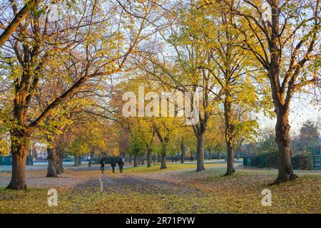 In Ilford im Osten Londons ist morgens ein Park mit Herbstfarbe teilweise frostig zu sehen. Stockfoto