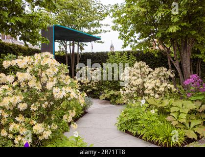 Der von Charlie Hawkes entworfene National Brain Appeals Rare Space Garden auf der Chelsea Flower Show 2023 in London, Großbritannien. Stockfoto