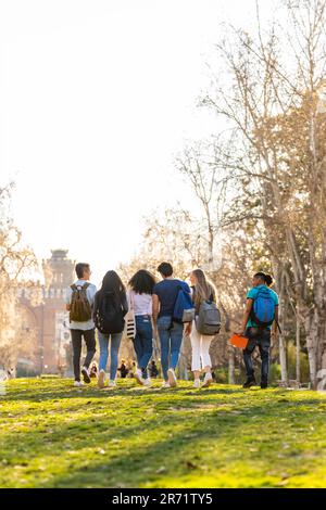 Rückansicht einer Reihe junger multiethnischer Studenten, die im Park zusammenlaufen Stockfoto