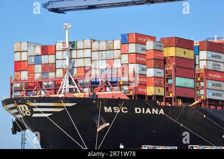 Container an Bord des Schiffes MSC Diana (ISO: 9755933) am Hafen von Felixstowe, Suffolk, England, Vereinigtes Königreich Stockfoto