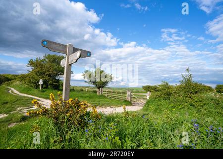 Waymarkers im Devil's Dyke Estate im South Downs National Park, Brighton in East Sussex, England. UK Stockfoto