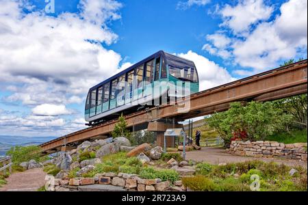 Aviemore Schottland Frühsommer Cairngorm Mountain Bewohner beobachten die Hare Seilbahn über dem Garten Stockfoto