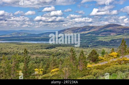 Aviemore Schottland Frühsommer der Blick vom Cairngorm Mountain über Loch Morlich und Glenmore Wald Stockfoto