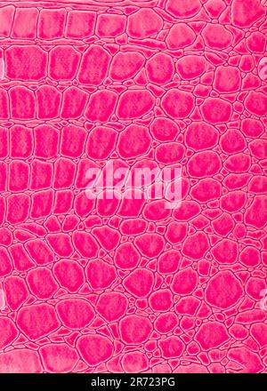 Die abstrakte Textur der imitierten Krokodilhaut-Draufsicht. Rosafarbener vertikaler Texturhintergrund. Glänzendes Reptil-Textil, Stoffdesign. Rosafarbenes, glänzendes Krokodil Stockfoto