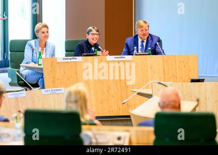 König Willem-Alexander von den Niederlanden am 12. Juni 2023 im Provincial House in Assen über die Politik im Provinzrat von Drenthe informiert zu werden. Während des Treffens wird der für die Kings zuständige Kommissar die aktuellen politischen Beziehungen in der Provinz erläutern. Foto: Albert Ph vd Werf/Netherlands OUT/Point De Vue OUT Stockfoto