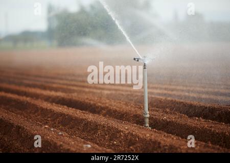 Landwirtschaftliche Bewässerungsgeräte, die Wasser auf trockene Feilen sprühen. Themen Dürre, Umwelt und Landwirtschaft. Stockfoto