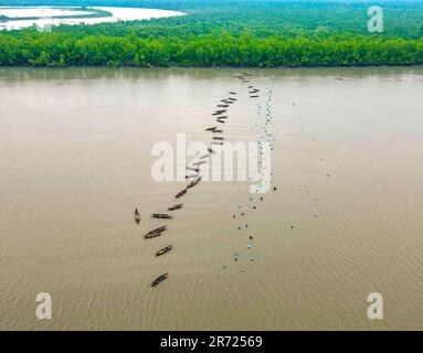 West Tootpara, Khulna, Bangladesch. 10. Juni 2023. Der Fluss Sibsa ist ein bedeutender und bekannter Fluss im Südwesten Bangladeschs in Bezug auf die Fischproduktion und die Einkommensquelle für viele Fischer, die in seiner Umgebung leben. Dieser Fluss ist von Sundarbans umgeben. Mehr als 100 Familien verdienen ihren Lebensunterhalt, indem sie in diesem Fluss Garnelen fangen. Diese Jahreszeit ist die richtige Zeit, um Garnelen zu fangen. Alle Fischer sind jetzt im Fluss, um Garnelen zu fangen (Kreditbild: © MD Harun oder Rashid/ZUMA Press Wire), NUR REDAKTIONELLE VERWENDUNG! Nicht für den kommerziellen GEBRAUCH! Stockfoto