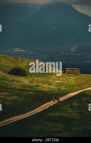 Eine vertikale Aufnahme eines Pfads, der sich durch eine bergige Landschaft schlängelt Stockfoto