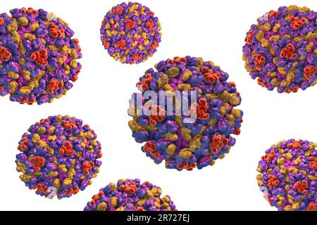 Östliches Pferdeenzephalitis-Virus, Computerdarstellung. Das Virus ist ein Arbovirus (durch Arthropoden übertragenes Virus) aus der Gattung Alphavirus der Togaviridae famil Stockfoto