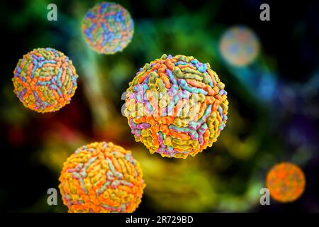 West Nile Virus Partikel, computer Abbildung. Das West-Nil-Virus (Wnv) ist bekannt, Enzephalitis in den Menschen zu verursachen. Die WNV gehört zu den Flavivirus gro Stockfoto