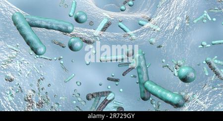 Sphärische Bakterien und stabförmige Bakterien im Biofilm, Abbildung. Ein Biofilm ist eine Bakterienkolonie, die eine Beschichtung auf einer Oberfläche bildet. Gemeinsame p Stockfoto